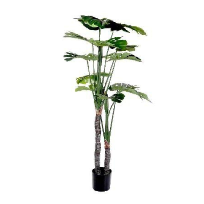 ARBOL  1.5